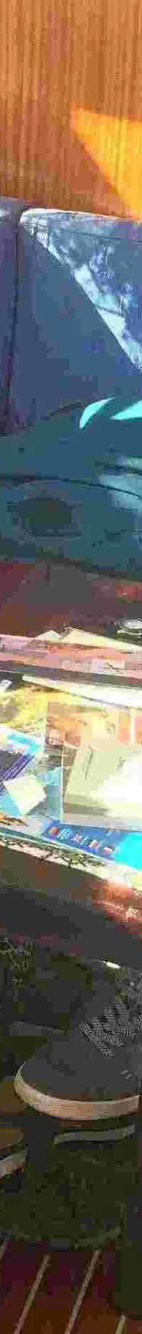 Thumbnail 13