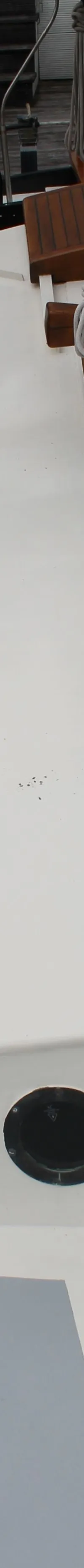 Thumbnail 22