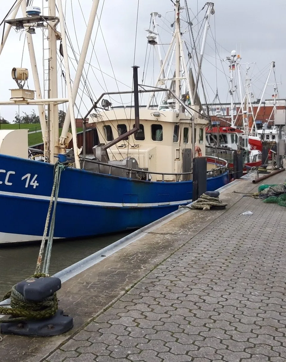 Krabbenkotter 16.70 1978 – bedrijfsvaartuig garnalenvangst - Foto 1