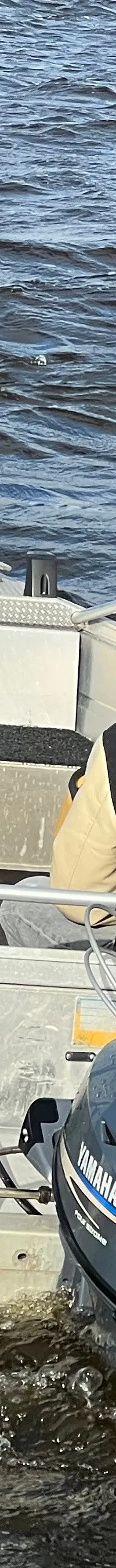 Buster S 440 Yamaha 20 - Foto 5