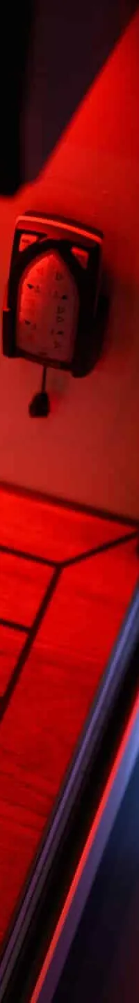 Thumbnail 15