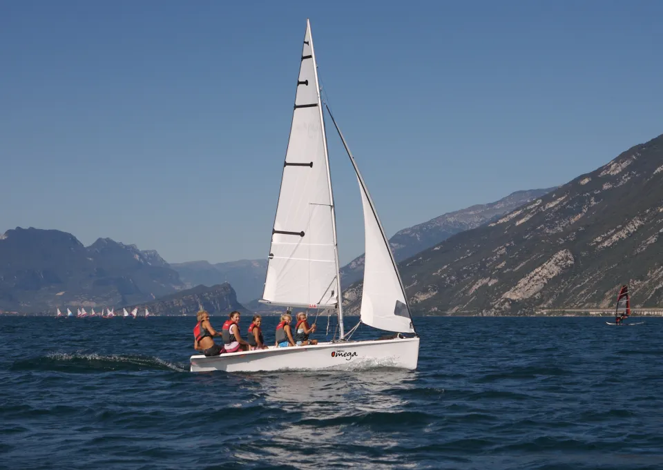 Topper Omega 2024 – actieprijs, direct leverbaar - Foto 3