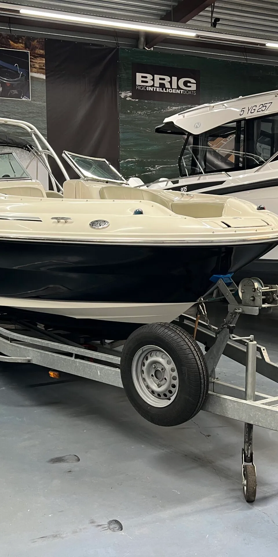 Sea Ray sportboot 2006 – V-bodem met Mercury motor - Foto 1