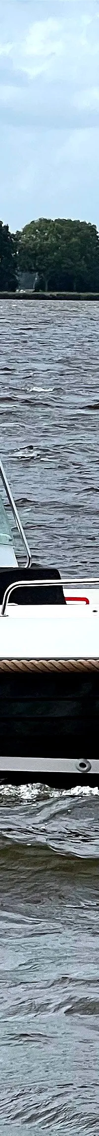 Bellus 750 Pieter Beeldsnijder - Foto 1