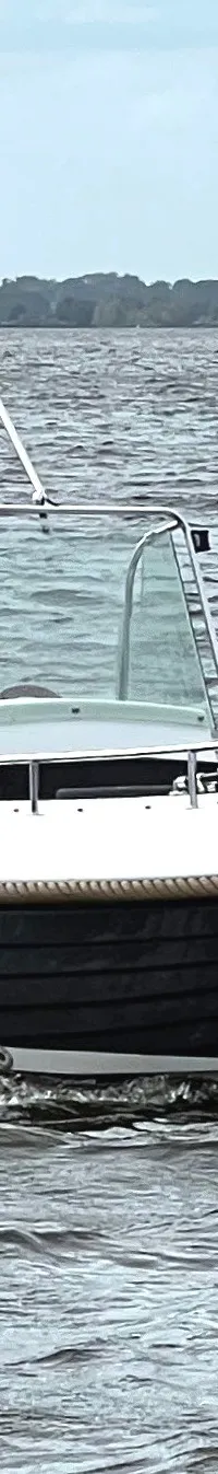 Bellus 750 Pieter Beeldsnijder - Foto 5