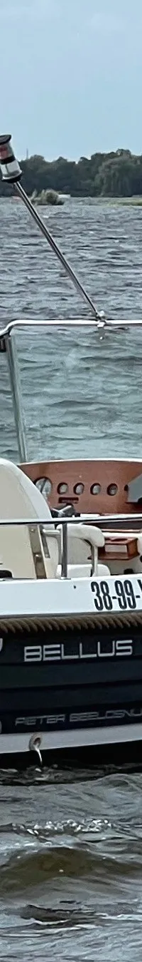 Bellus 750 Pieter Beeldsnijder - Foto 6