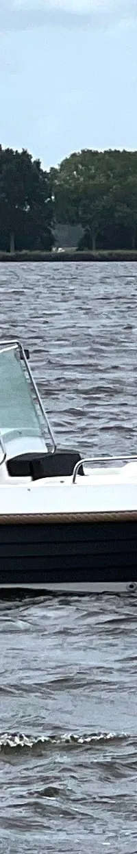 Bellus 750 Pieter Beeldsnijder - Foto 7