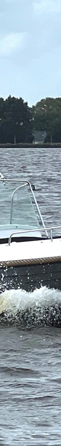 Bellus 750 Pieter Beeldsnijder - Foto 10
