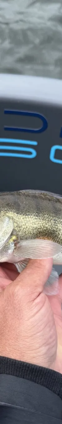 Roto Hydra450 Fishing 2024 – vrijwel onderhoudsvrij - Foto 8