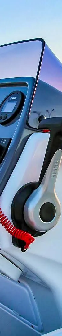Thumbnail 17