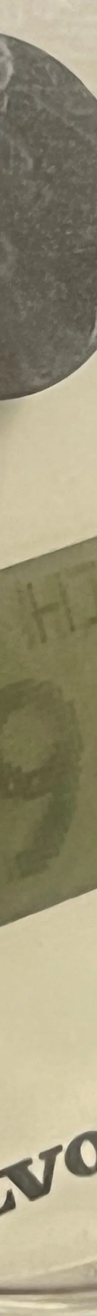 Thumbnail 19