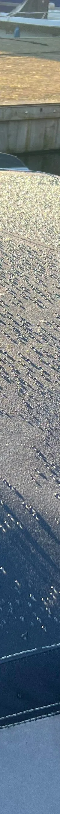 Thumbnail 15