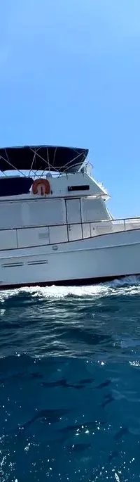 Grand Banks Classic 46 1990 – Comfortabele Trawler Yacht - Foto 2